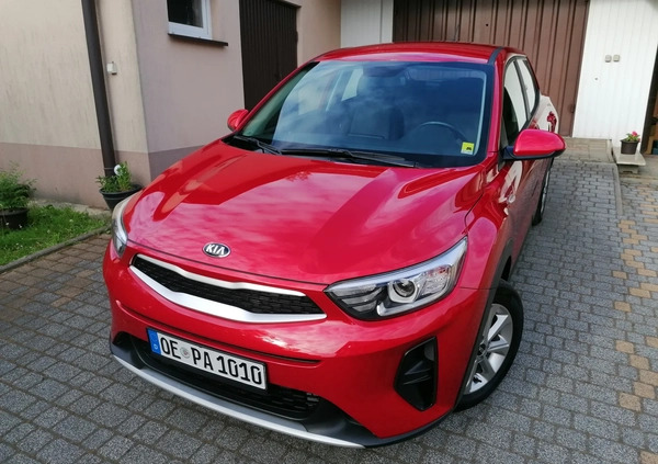 Kia Stonic cena 66700 przebieg: 50000, rok produkcji 2020 z Sławków małe 667